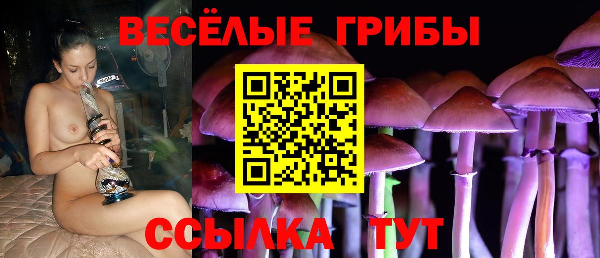 Псилоцибиновые грибы Psilocybe Воркута
